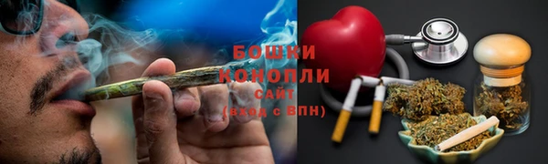 mix Богородицк